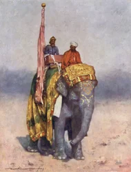 ラジプタナの砂質廃棄物からの象